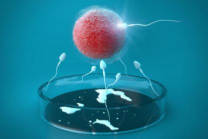 胚胎实验室